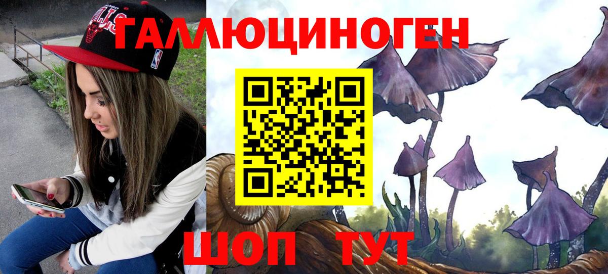 Псилоцибиновые грибы мицелий Чехов