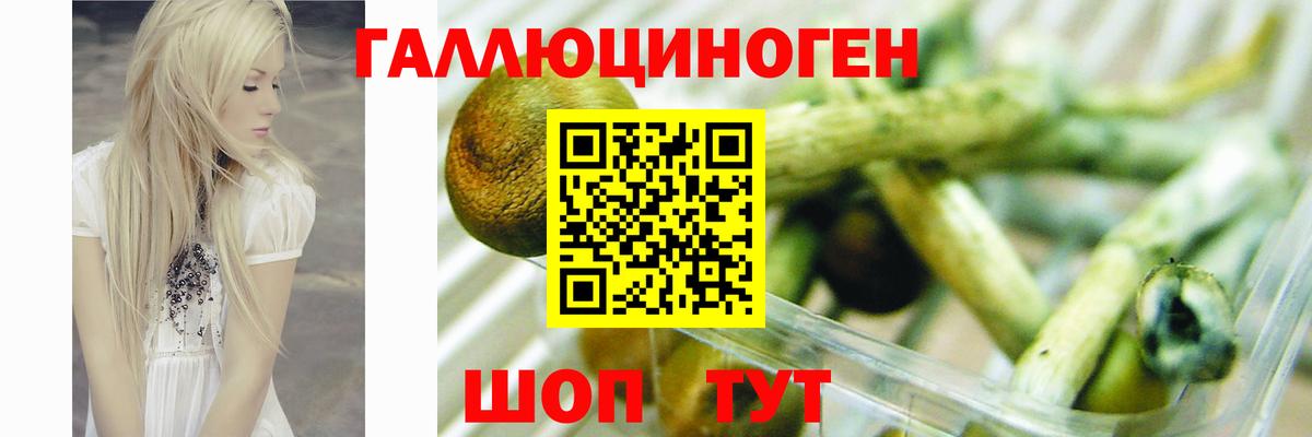 наркотики  Галлюциногенные грибы ЛСД  Вход с VPN  Чехов 